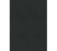Élitis Carta da parati Parthénon - RM 1045 80