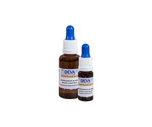 Élixir Floral Bach - Castagno, 10 ml, contagocce