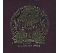 Elizabeth A Vajagic - Nostalgia/Pain