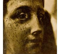 Elizabeth Anka Vajagic Stand With The Stillness Of This Day (Vinyl LP)