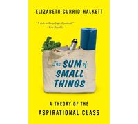 Elizabeth Currid-Halkett The Sum of Small Things (Tascabile)