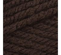 Ella Rae Chunky Merino Superwash Filato di Lana 100g - 10 Marrone