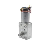ELLANA Potenza orientata JGY370 Motore con Encoder Hall, Turbo Worm DC Gear Camera PTZ Mini 4wd Car Low RPM Motore Elettrico 6V/12V/24V Trasmissione elettrica (Color : 24v, Size : 40RPM)