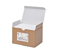 REX SADOCH - 8209 - Scatola 100 buste bianche - Bristol - bianco - 90 x 140 mm - Rex Sadoch - 68903 - Conf. da 1 Pz. - 8209