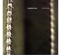 Ellen Fullman - Staggered Stasis