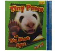 Ellen Lawrence Whose Little Baby Are You? 6-book set (Shrink-wrapped pack)