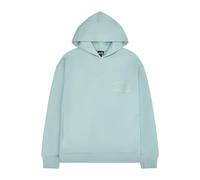 ellesse Felpa con Cappuccio Vignole, Verde Chiaro, M Unisex-Adulto