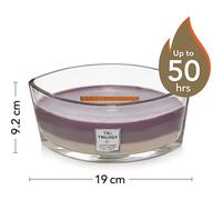 Amethyst Sky Candele In Vetro Ellipse 454 gr Woodwick