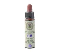 Elm Nr. 11 Princeps Fiori di Bach Originali Gocce 10ml