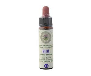 Elm Nr. 11 Princeps Fiori di Bach Originali Gocce 10ml