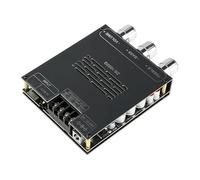 Elnwnnkc Potente Scheda Amplificatore Stereo da 200 W con compatibilità QCC3034 e Protezioni Multiple con Amplificatore Home Theatre