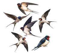 Elnwnnkc Previeni incidenti con Uccelli applicando Facilmente Le Decalcomanie per finestre Sicurezza e Bellezza Decalcomanie anticollisione per Protezioni in Vetro Adesivi per finestre