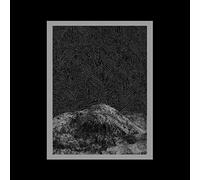 Elonmusk - As Your Wanderer Taps at The Invisible Gate [Import]