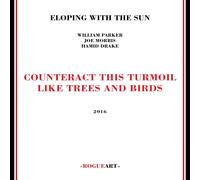 Eloping With The Sun Counteract This Turmoil Like Trees & Birds (CD)