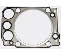 ELRING 066.723 Guarnizione, Testata per MERCEDES-BENZ,NEOPLAN,SETRA