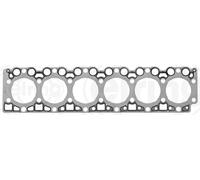 ELRING 174.903 Guarnizione, Testata per BREDAMENARINIBUS,DENNIS,DEUTZ-FAHR,JIEFA