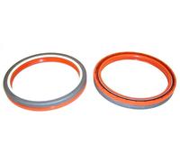 ELRING 225.666 Paraolio, Albero a gomiti per AGRALE,ANKAI,BEIBEN,CAMC,CHTC AUTO,