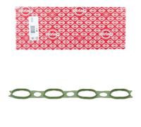 Elring 249.600 Guarnizione