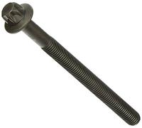 Elring 373.281 Dado e Bullone