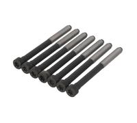 Set di bulloni per testa del cilindro ELRING 376.660