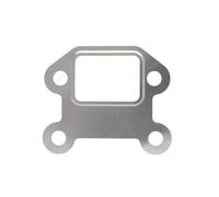 Elring 381.420 Valvola Egr