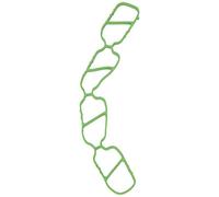 Guarnizione, collettore di aspirazione ELRING 431.180