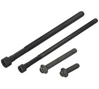 Elring Set bulloni testata 459.450 Kit viti Torx interno per BMW