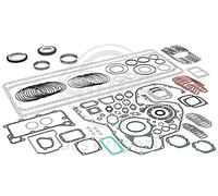 ELRING 518.340 Kit guarnizioni motore con paraolio-albero a gomiti