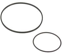 ELRING Kit guarnizioni, Pompa a depressione per BMW 522.900