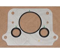 ELRING 535.131 Guarnizione, Intercooler per CAMC,ERF,FAP,HIGER,JAC,LAZ,MAN,NEOPL