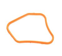 Guarnizione tubo climatizzazione Testa a cilindro 572.660 ELRING per NISSAN