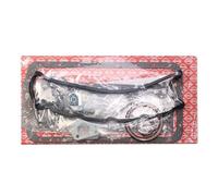 PAYEN AE ITALIA GP590.917 Elring,
