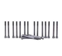 Set di bulloni per testa del cilindro ELRING 709.310