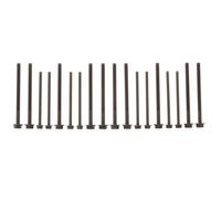 ELRING Set bulloni testa cilindro 733.100 – 18 pezzi – per Ford/Peugeot/Citroën