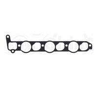 ELRING Giunto Tubulure AdmisSione Per RAM 1200 Double Cab Single 2.5 D 4x4