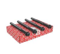 ELRING Kit bulloni testata MERCEDES-BENZ SETRA NEOPLAN 11,9 15,9 5419900501