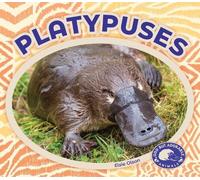 Elsie Olson Platypuses (Copertina rigida) Odd But Adorable Animals