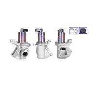 ELSTOCK 72-0341 Valvola EGR per SSANGYONG