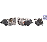 ELSTOCK 73-0206 Valvola EGR per BMW