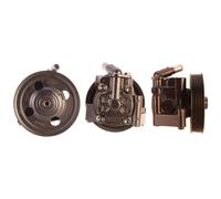 ELSTOCK Pompa Del Servosterzo Idraulico per Ford, Galaxy Land Rover Freelander 2
