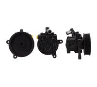 ELSTOCK Pompa Del Servosterzo Idraulico per Mercedes-Benz Classe M W164 R W251