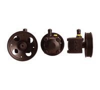 ELSTOCK Pompa Del Servosterzo Idraulico per Volvo V70 I P80_875 876 C70 Ts XY