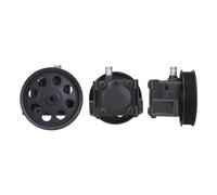 ELSTOCK Pompa Servo-Direz. Per Volvo S80 II V70 III XC60 36001204