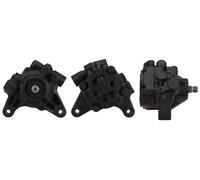 ELSTOCK Pompa Servocomando Idraulica Adatta Per Honda Accord VII M 15-1129