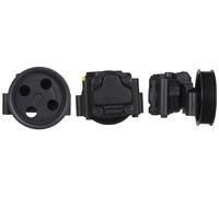 ELSTOCK Pompa Servosterzo Idraulica Adatta Per Ford Fiesta V JH_ JD_ 15-0399