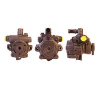 ELSTOCK Servo Pompa Idraulico per Renault Clio II BB _ CB _ Kangoo KC0/1_ LB _