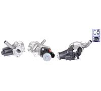 ELSTOCK Valvola EGR Elettrico Con Materiale Montaggio per Ford Ranger Tourneo