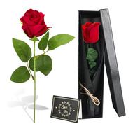 elthmpr Infinity Rose rosa sul gambo, regalo per donne - Vera rosa conservata in confezione regalo per donne nel vostro anniversario di compleanno per la festa della mamma