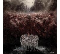 Elucidations On Flesh Paradoxes