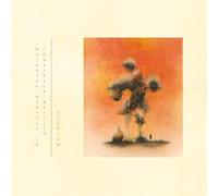 Eluvium (Whirring Marvels In) Consensus Reality (Vinyl LP)